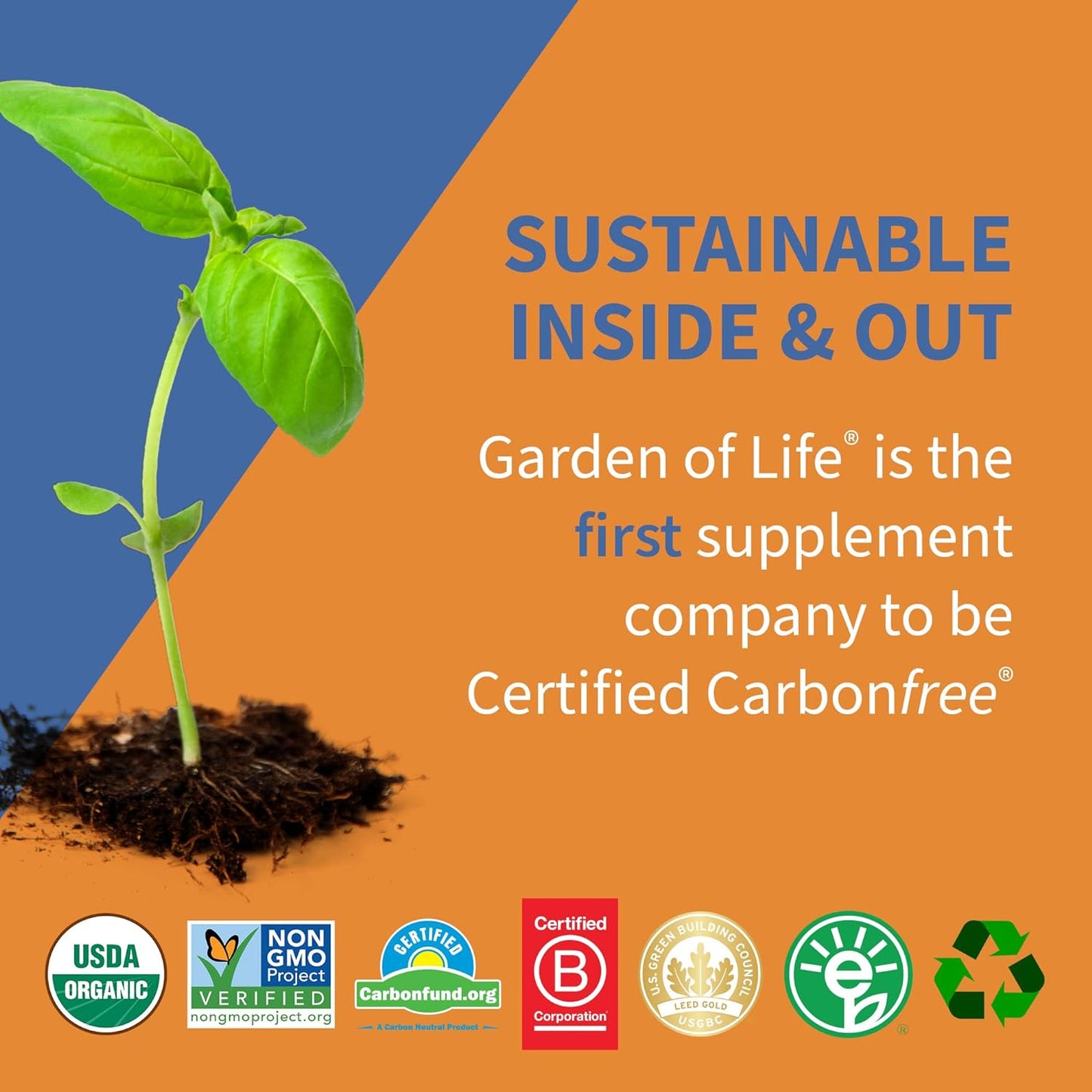 Garden of Life Dr Formulated 10 Billion CFU Prebiotic Fiber & Probiotic Gummies with Vitamin D3 for Digestive and Immune Health – Gluten Free, Non GMO, No Added Sugar, Orange Dream Flavor, 60 Gummies